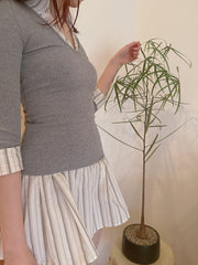 Stripe Slim Fit Layered Dress
